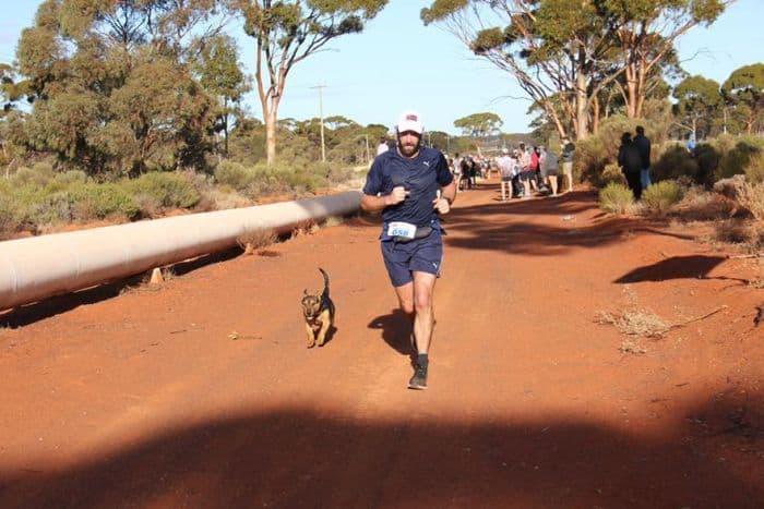 Dog Who (Accidentally) Run Marathons!