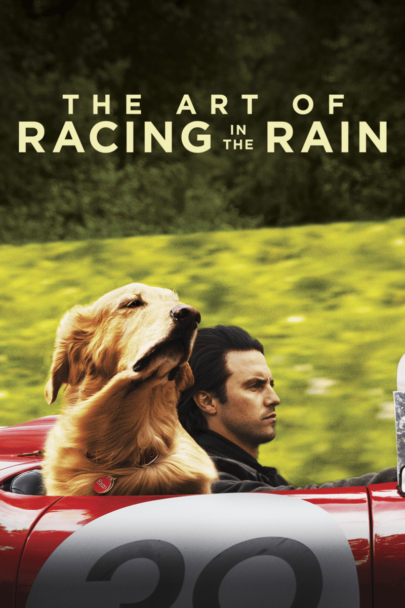 Bring Enzo Home- The Art of Racing in the Rain on DVD