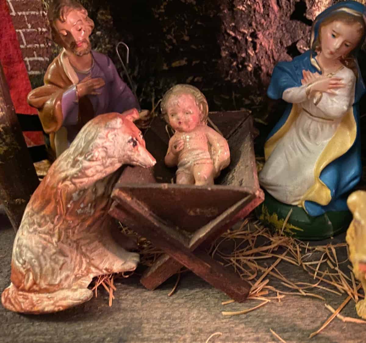 There were dogs at the manger.