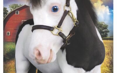 Get Inspired with Miniature Horse Love