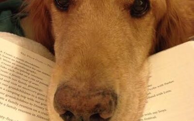 Let’s WOOF About Our Favorite Dog Books
