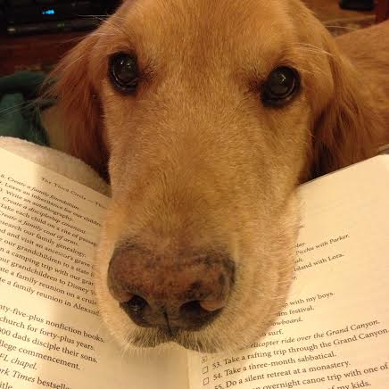 Let’s WOOF About Our Favorite Dog Books
