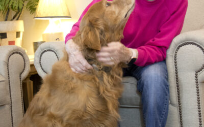 Let’s WOOF about Ernie’s photo shoot