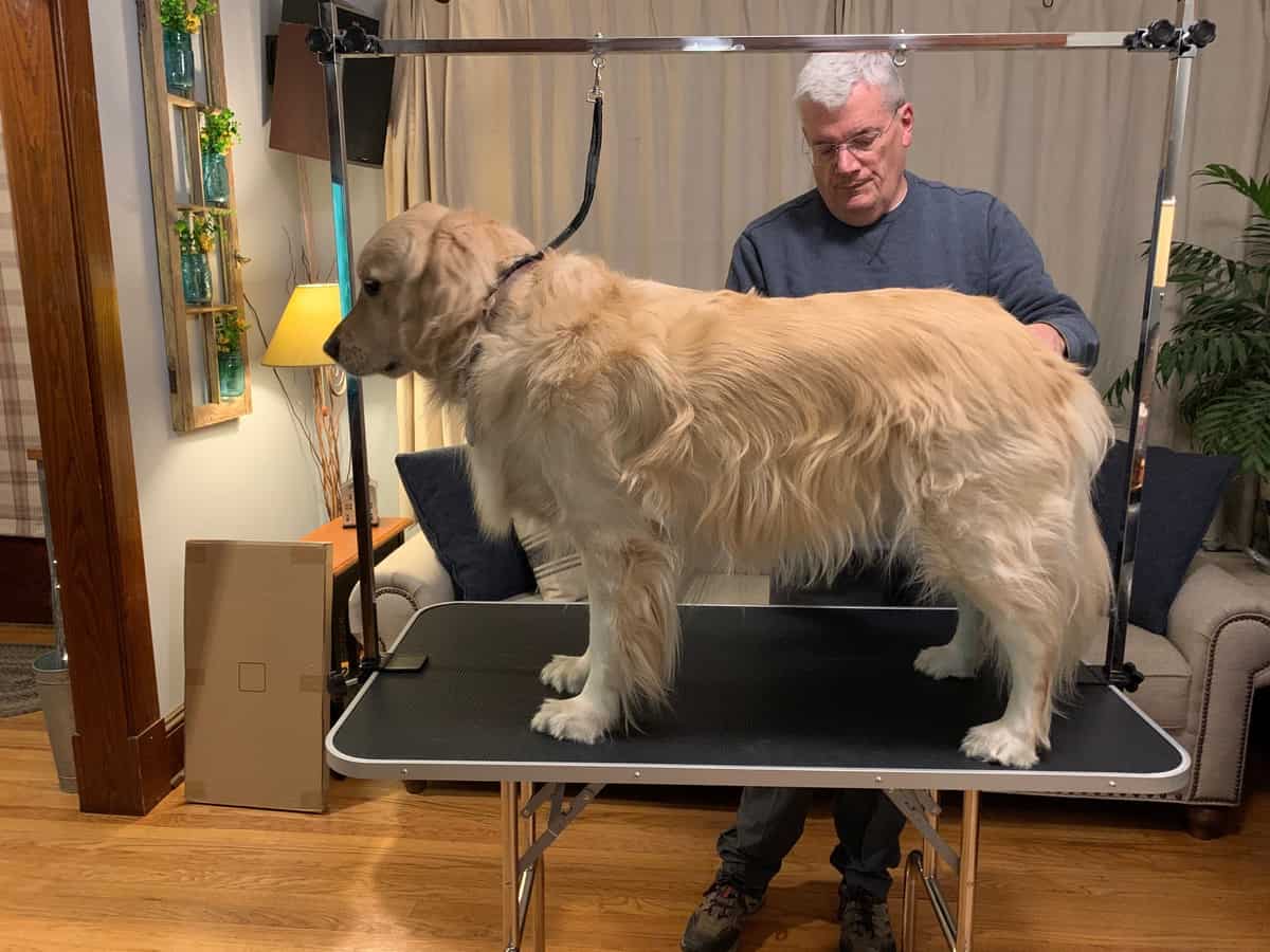 Lets WOOF about our new grooming table–Topeakmart Dog Grooming Table Review