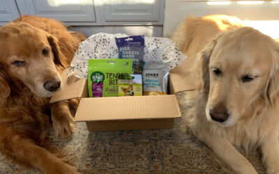 Let’s WOOF about Buster and Dickens pet shoppe