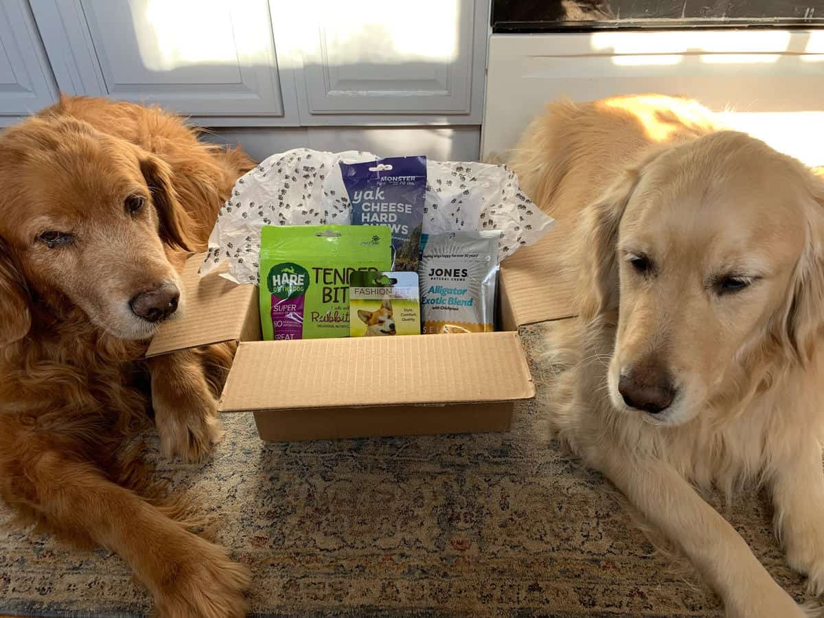 Let’s WOOF about Buster and Dickens pet shoppe