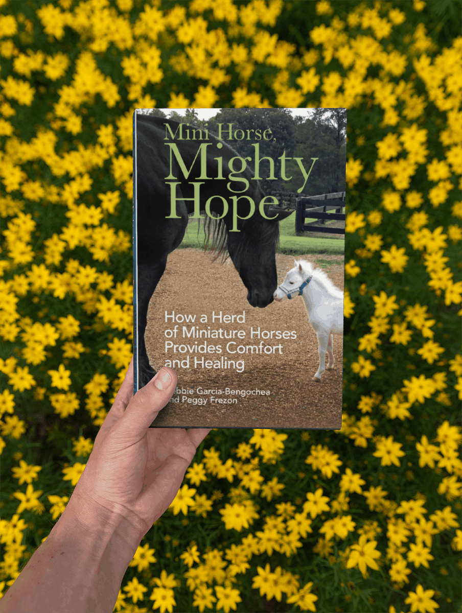 Be the First to See the new Trailer for Mini Horse, Mighty Hope