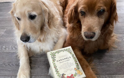 Do you like pets? holidays? caramels? Check this out!