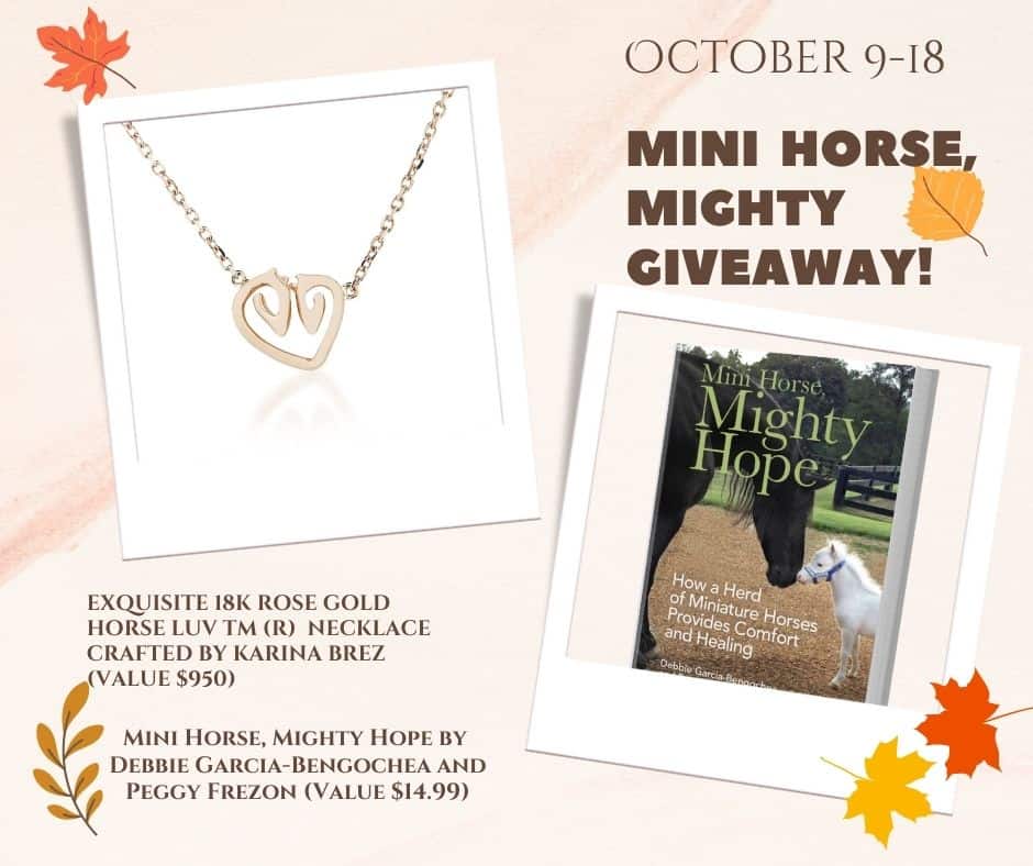 Mini Horse, Mighty Giveaway!