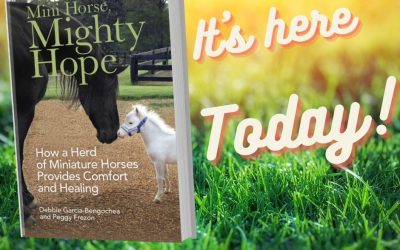 Mini Horse, Mighty Hope is Here Today!