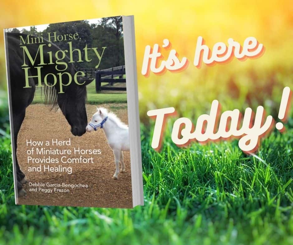 Mini Horse, Mighty Hope is Here Today!