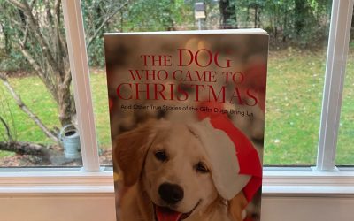 The Dog Who Came to Christmas Review and Giveaway