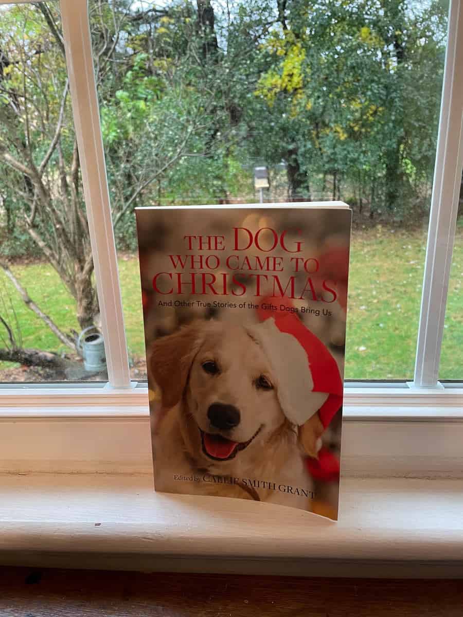 The Dog Who Came to Christmas Review and Giveaway
