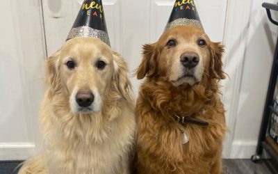 Happy New Year!